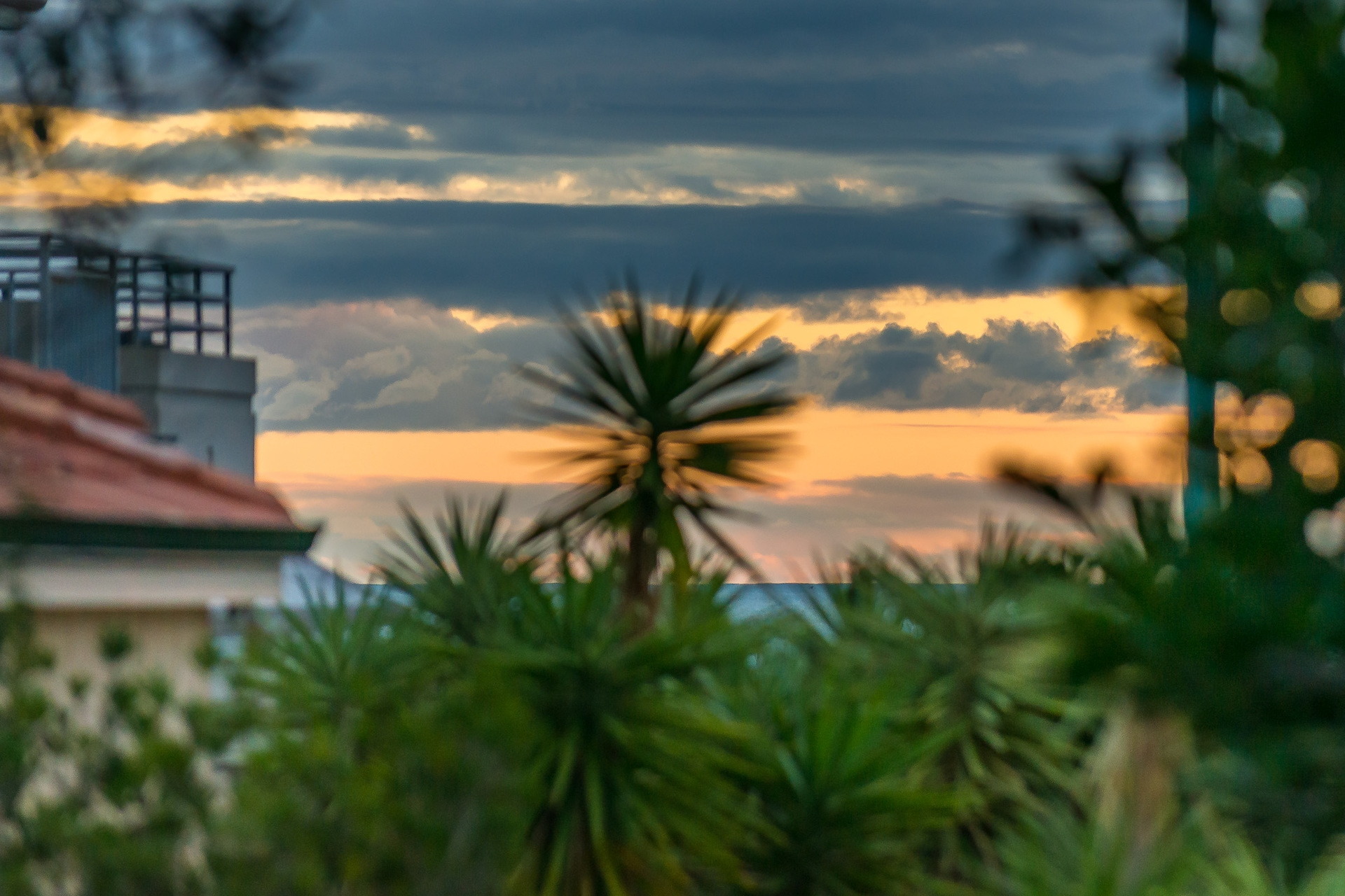 77 Silver Sands Drive, Iluka - Thumbnail 4