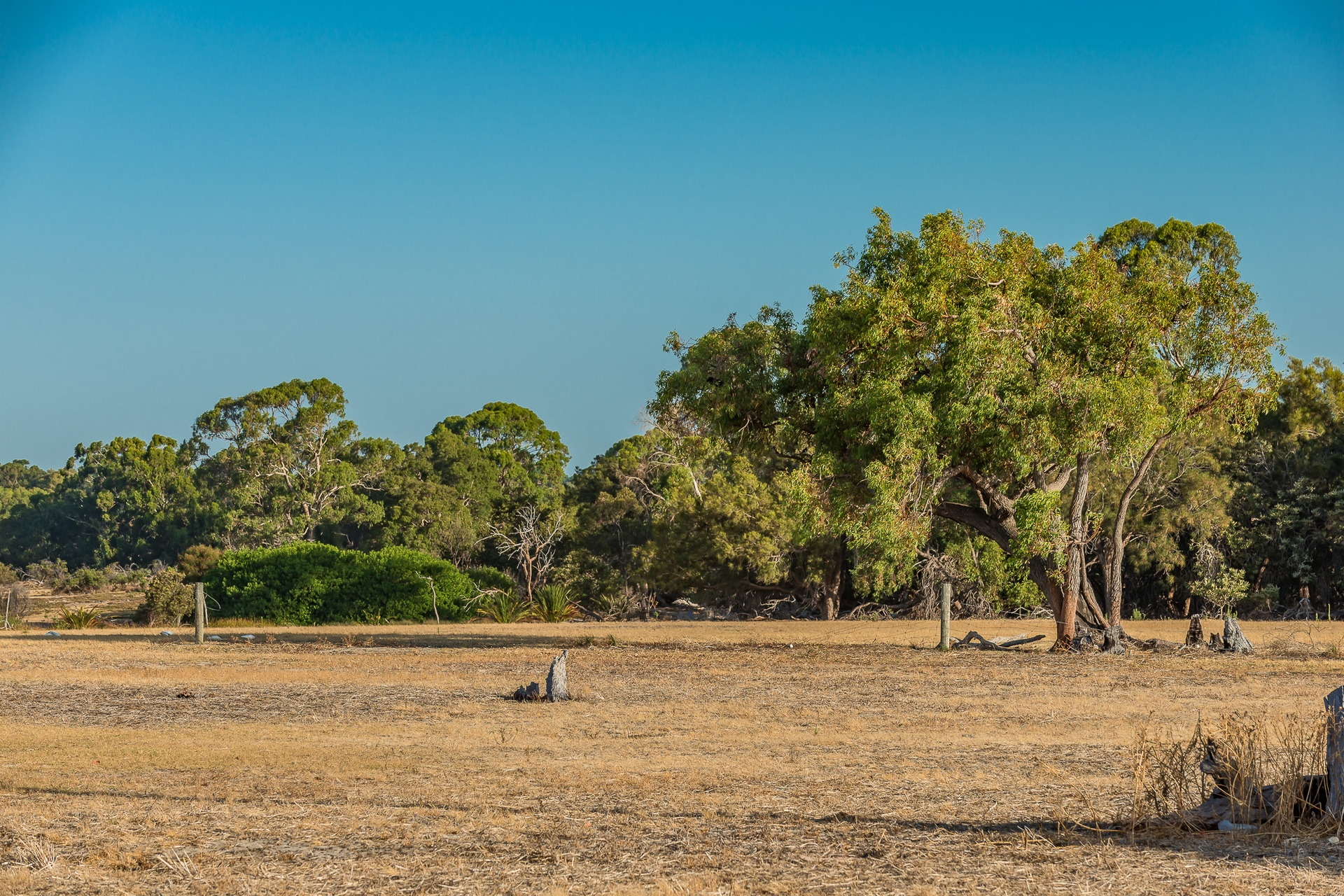 123  Duffy Terrace, Woodvale - Thumbnail 4