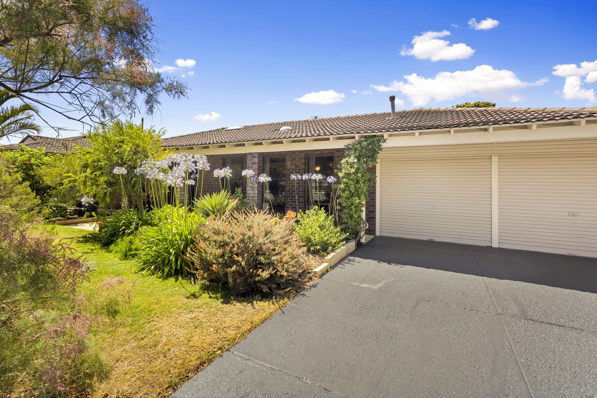 23 Milverton Avenue, Karrinyup - Thumbnail 2